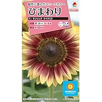 Amazon | タキイ種苗 花種 ひまわり F1サンリッチ フレッシュ